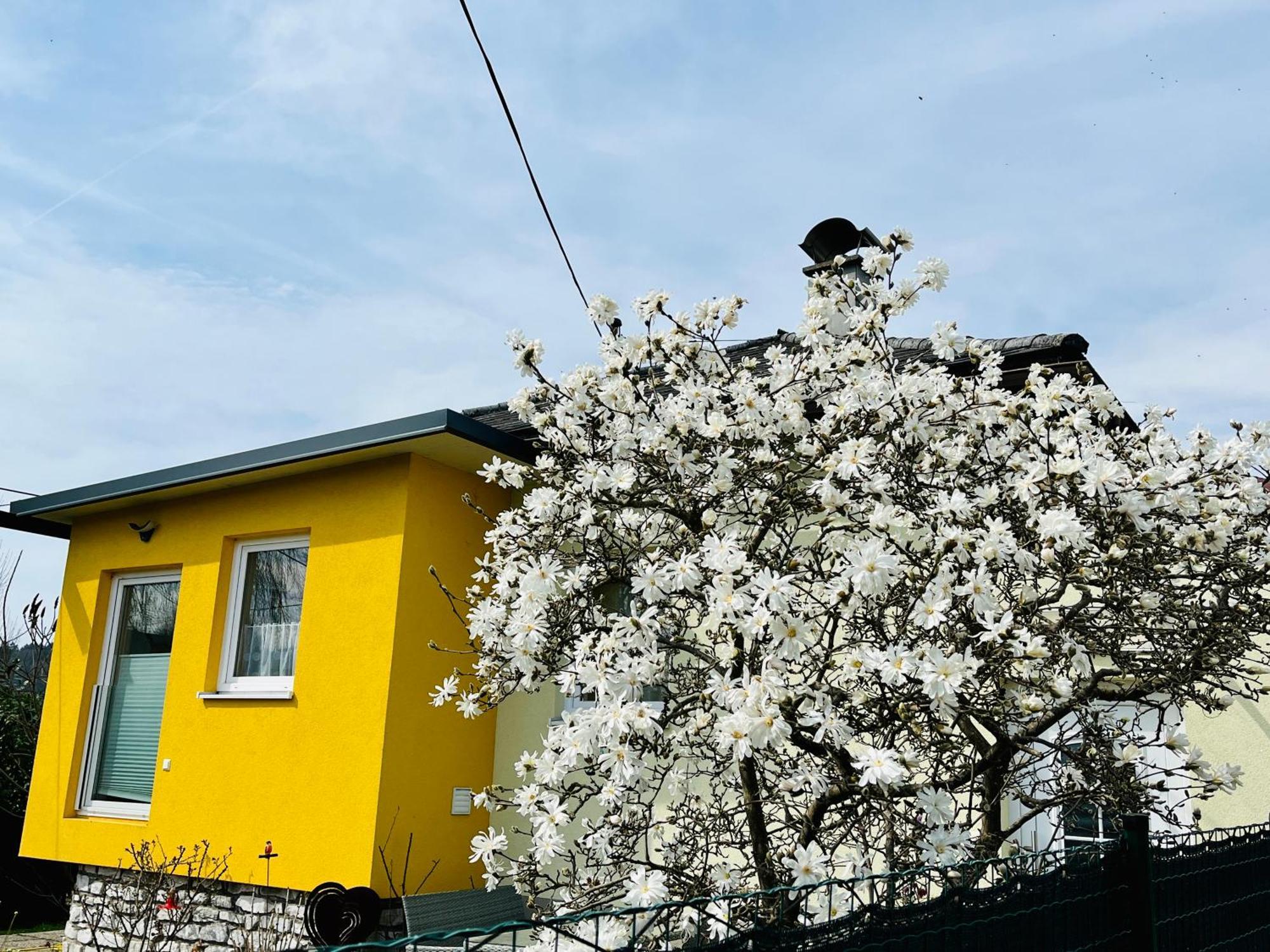 Ferienhaus Sausalblick Grossklein Luaran gambar